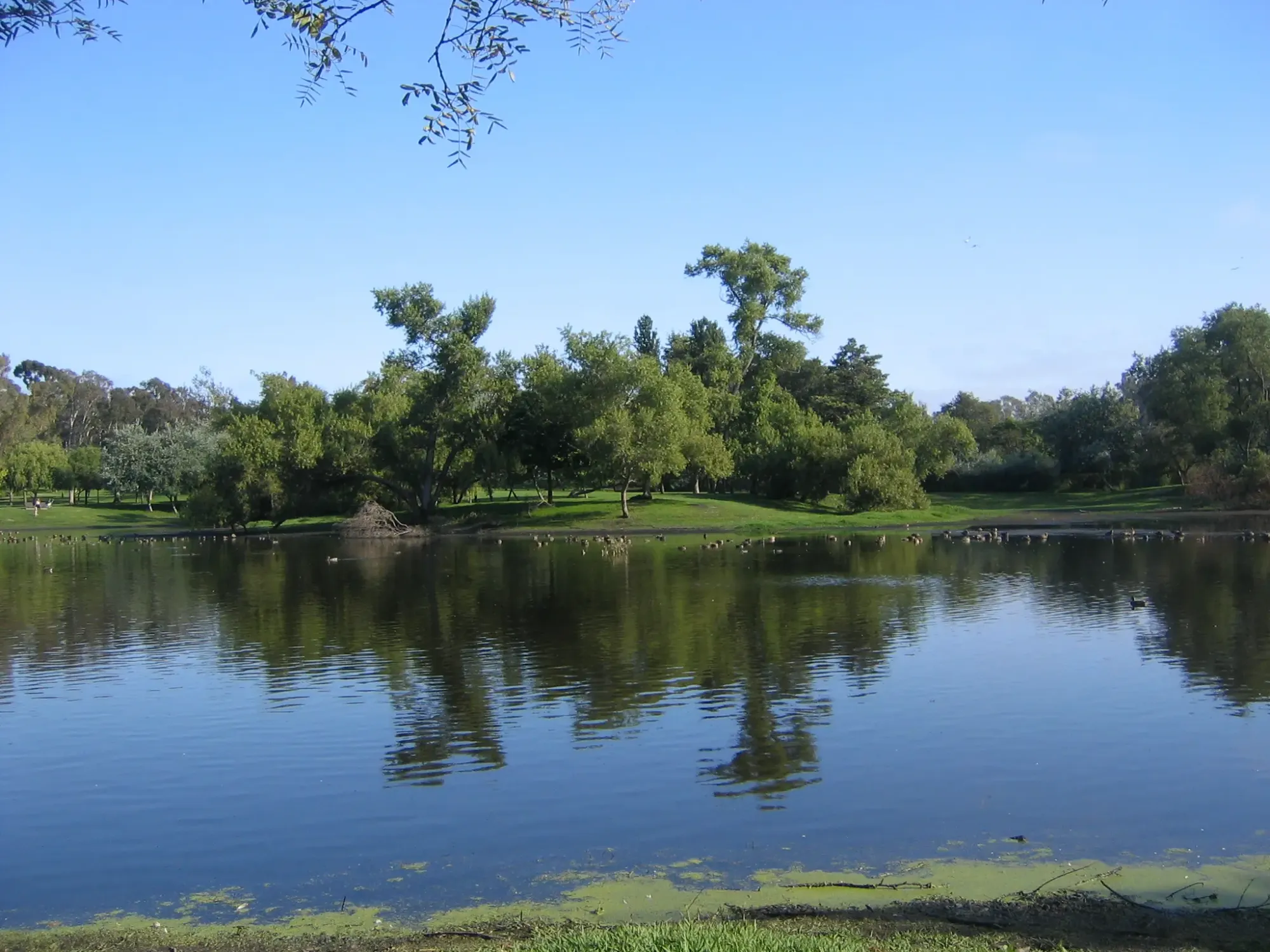 File:Huntington Beach Central Park.jpg - Wikimedia Commons