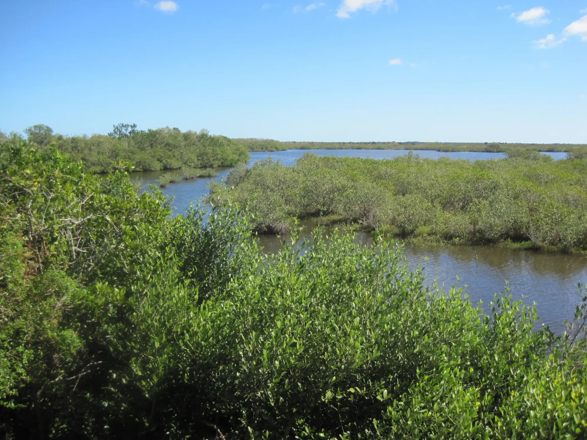 File:Merritt Island National Wildlife Refuge.jpg - Wikimedia Commons