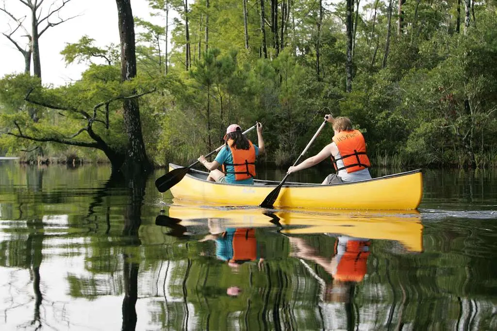 Canoers enjoy a calm day on the water - PICRYL - Public Domain Media Search  Engine Public Domain Image