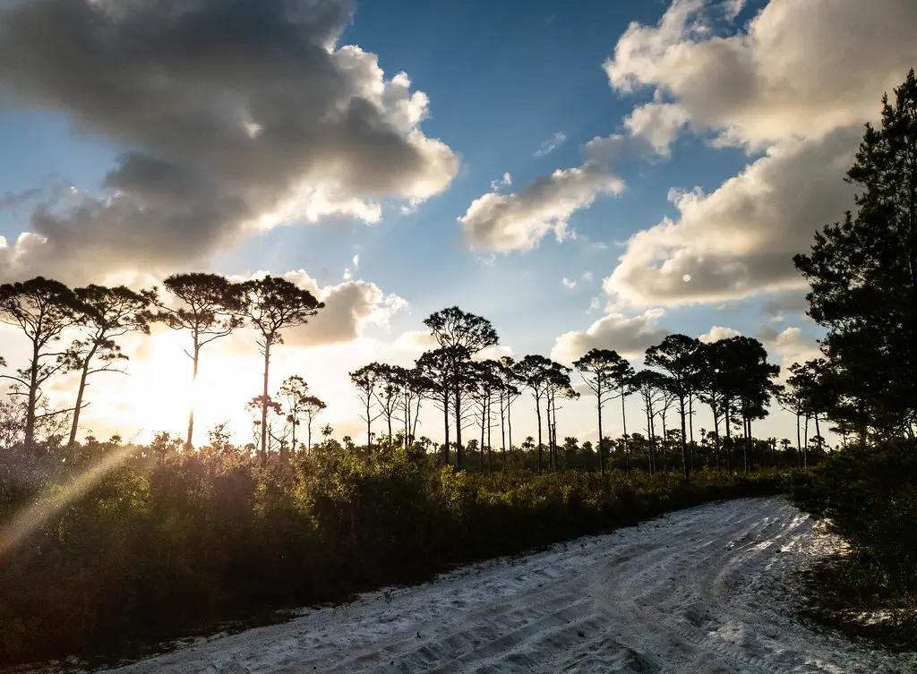 Seabranch Preserve State Park | apasciuto | Flickr