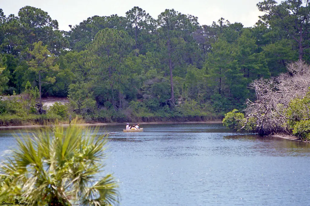 Loxahatchee River, Jonathan Dickinson State Park, 1987 | Flickr