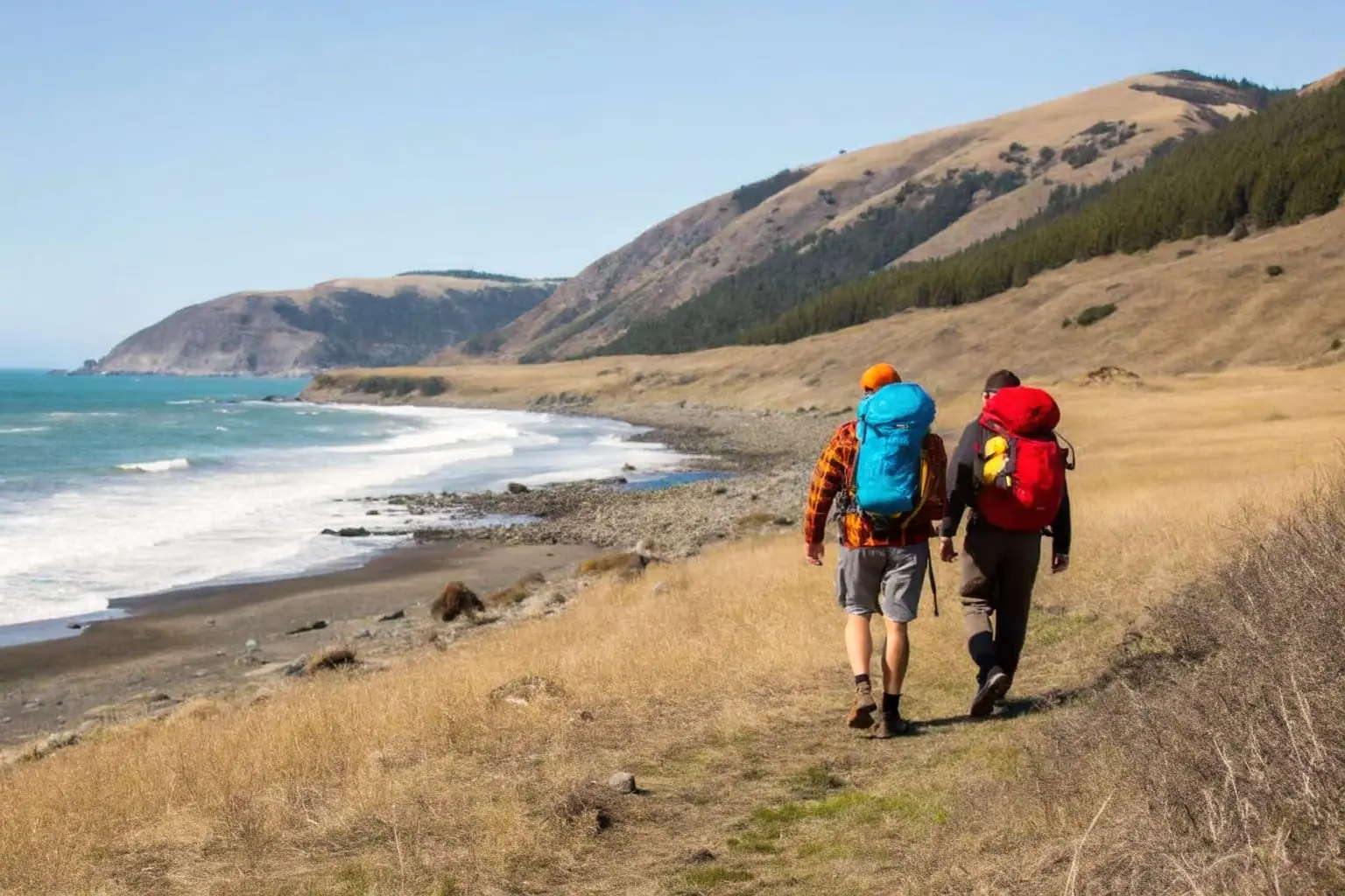 Ultimate Guide to Backpacking the Lost Coast Trail in California in 2024 —  She Dreams Of Alpine