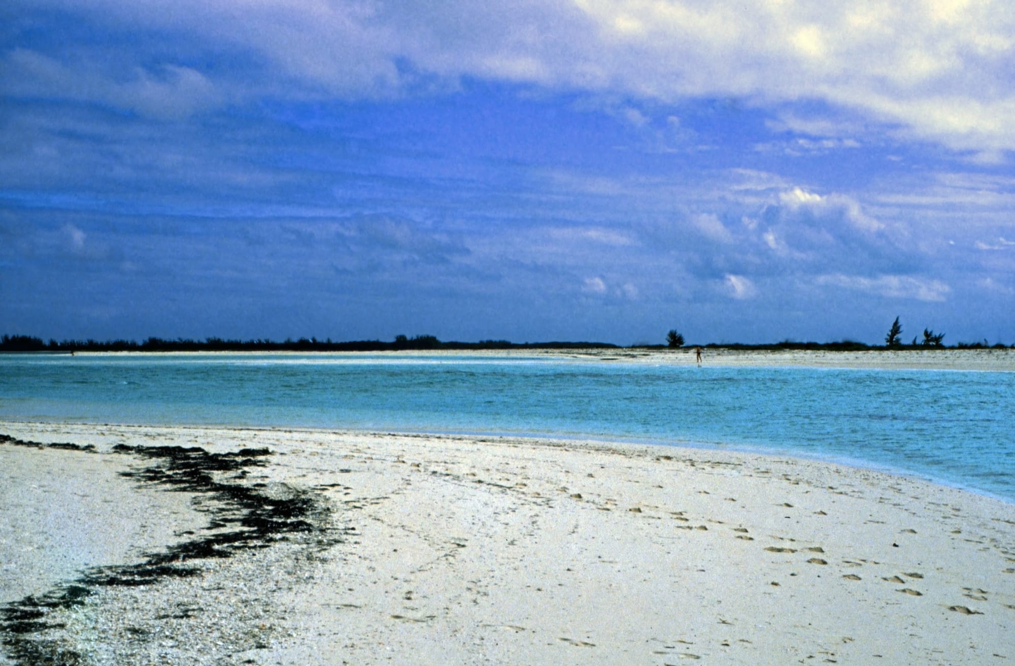 File:Bahamas 1989 (421) Abaco Green Turtle Cay (24810216016).jpg -  Wikimedia Commons