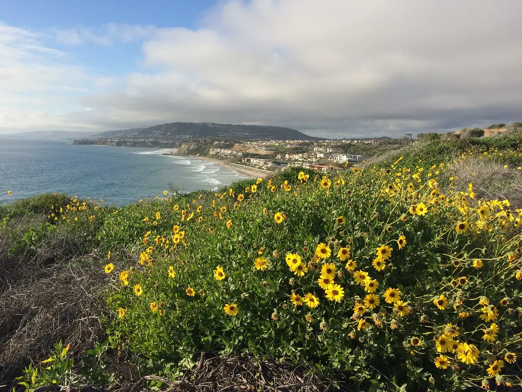 Dana Point | California, USA - March 2017 | Sergei Gussev | Flickr