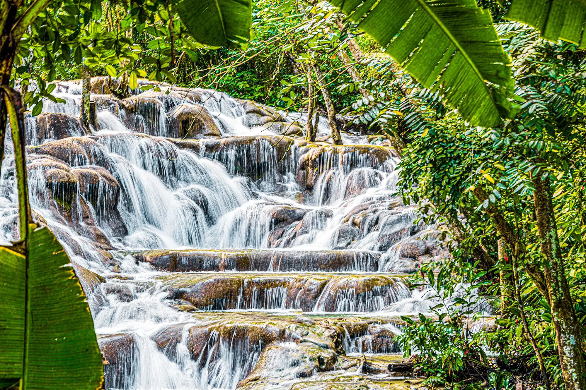 Dunn's River Falls, Jamaica: The Ultimate Guide | Beaches