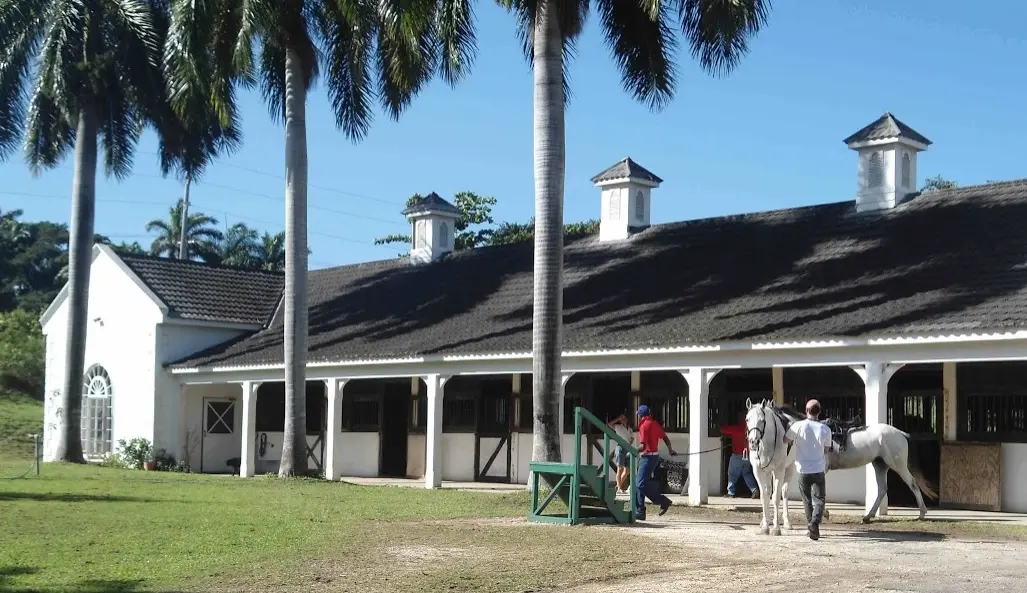 Half Moon Equestrian Centre