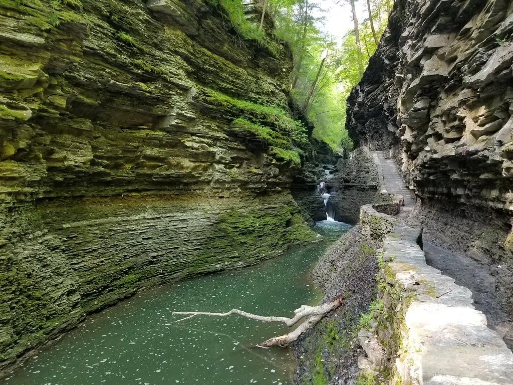 Watkins Glen State Park (New York) | Watkins Glen State Park… | Flickr