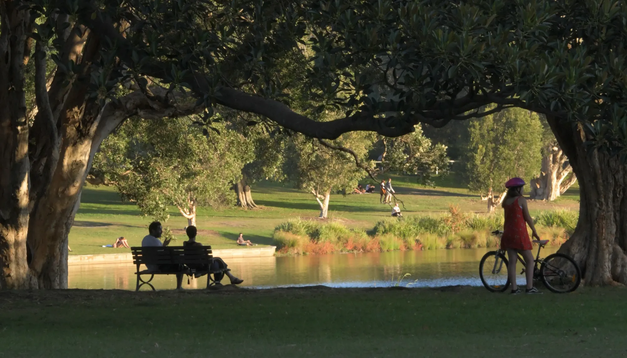 File:Afternoon light Centennial Park 005.jpg - Wikimedia Commons