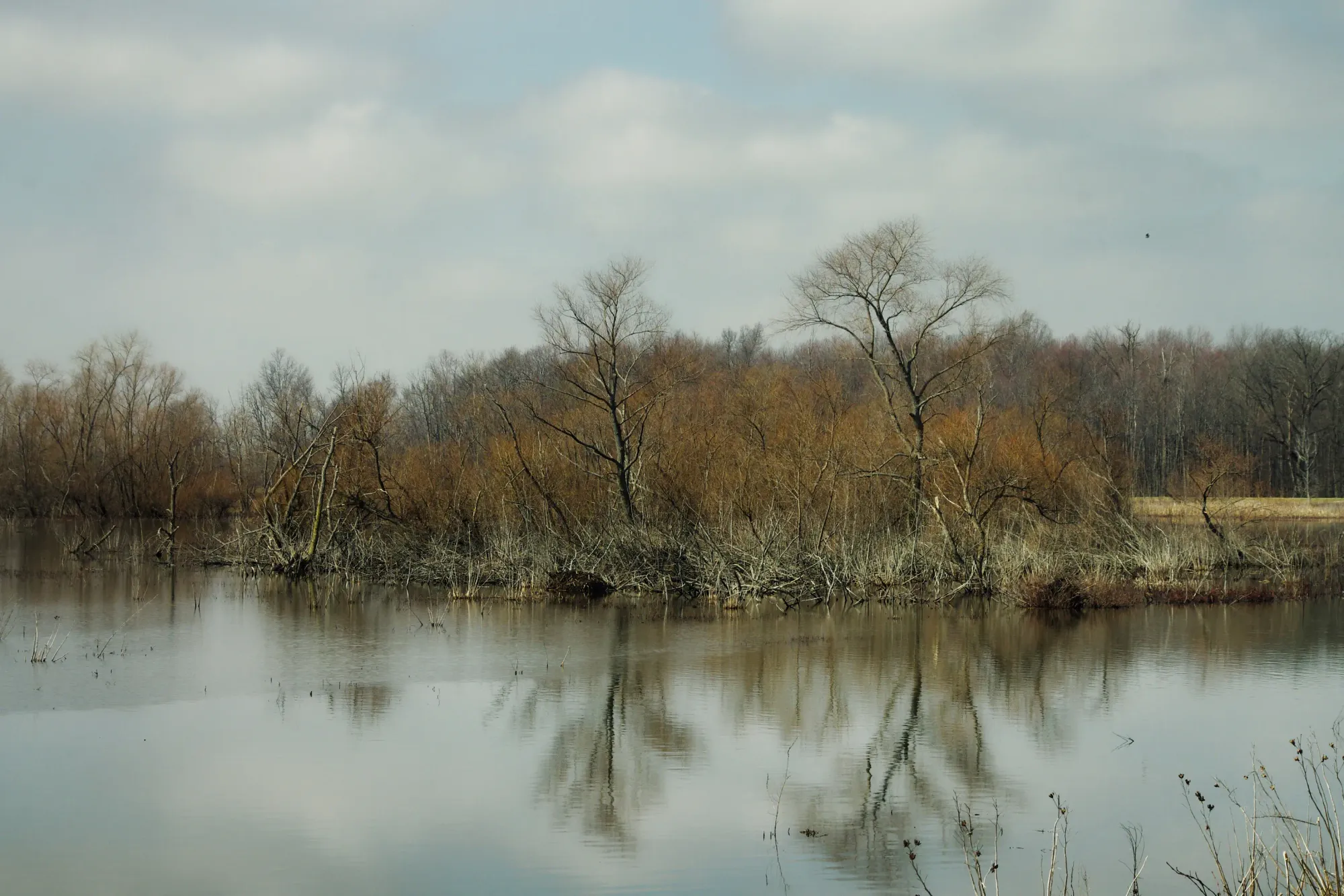 File:Ottawa National Wildlife Refuge 01.jpg - Wikimedia Commons