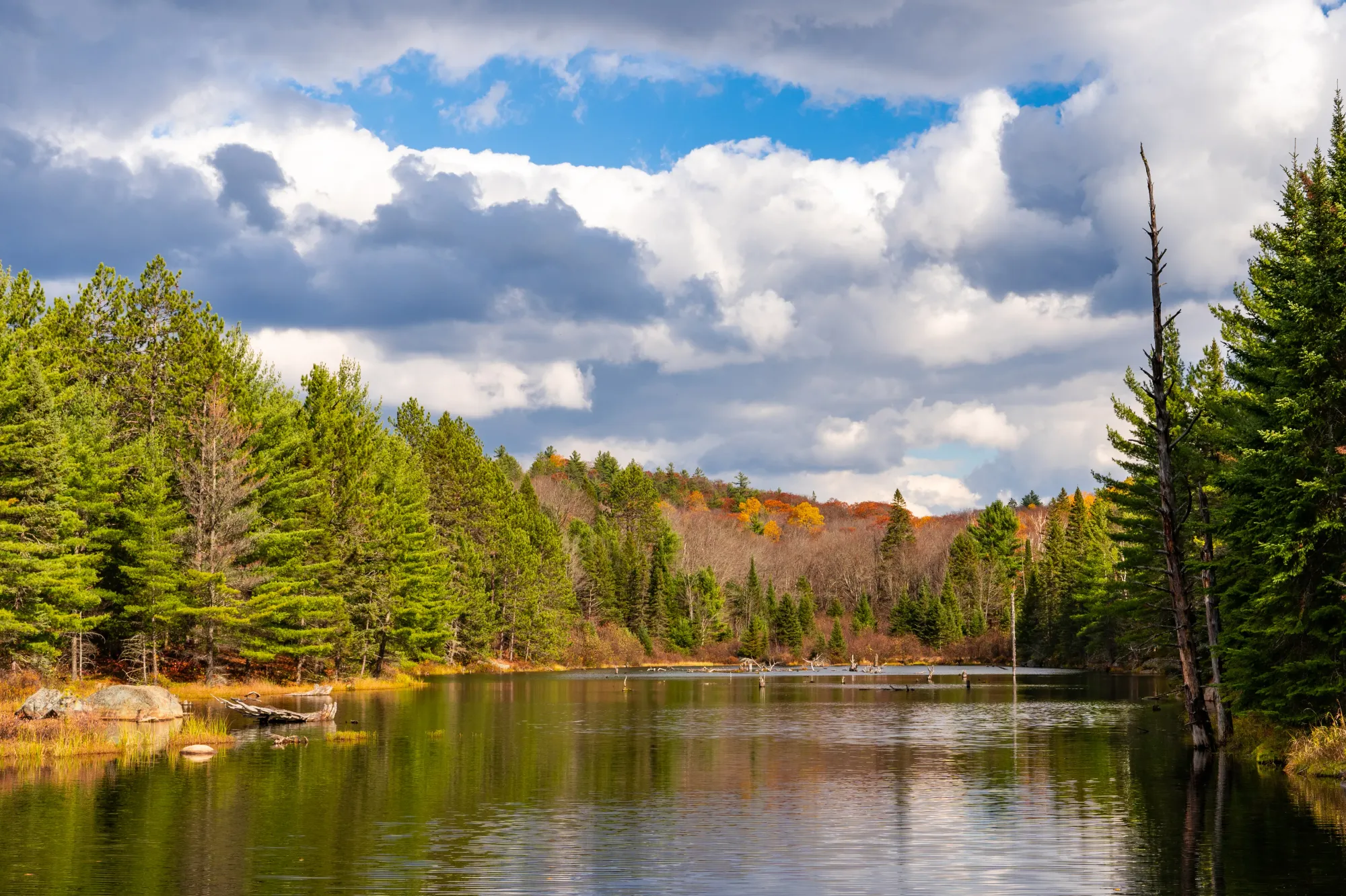 File:A small lake in Algonquin Provincial Park.jpg - Wikimedia Commons