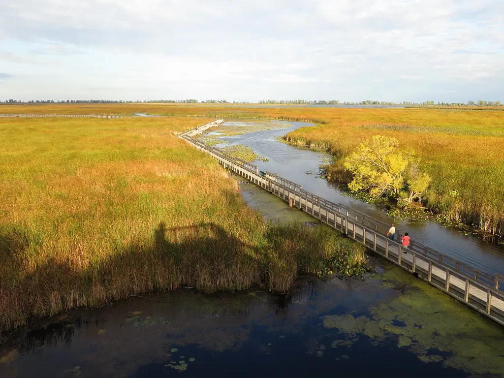 Marsh Boardwalk, Point Pelee National Park, Leamington, On… | Flickr