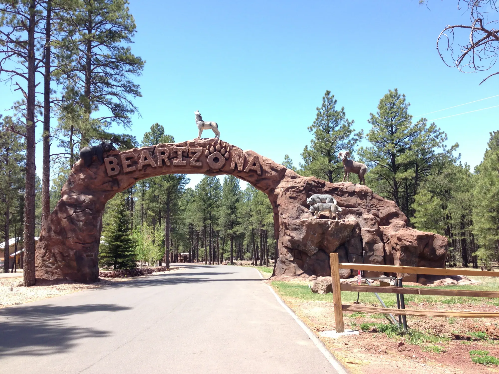 File:Bearizona Arizona animal park.jpg - Wikimedia Commons