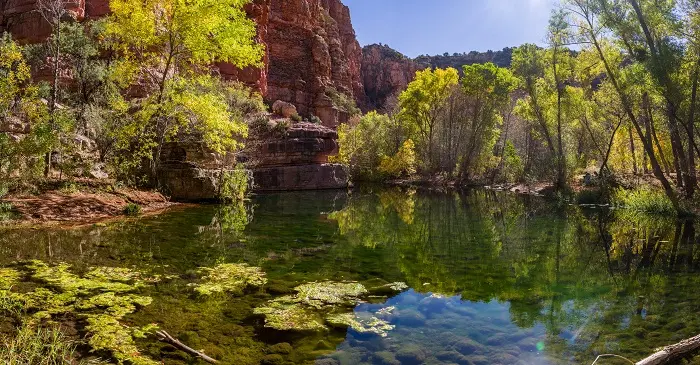 Sycamore Canyon | | Alluring World - Part 1000