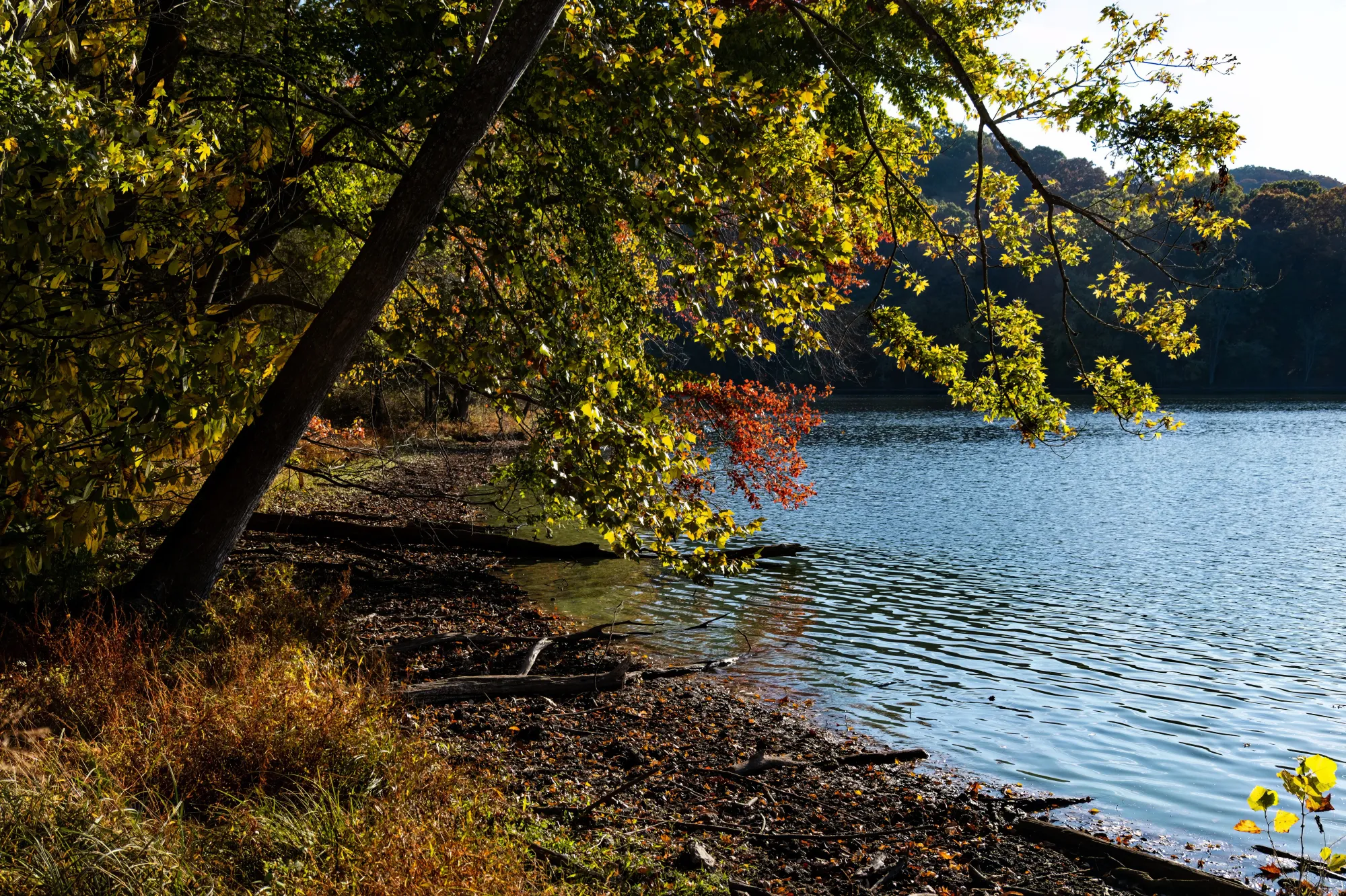 23 Offbeat Things To Do In Nashville You Won’t Believe Exist