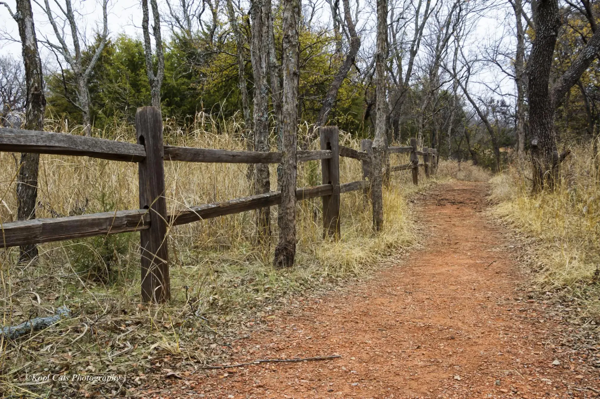 30 Things to Do in Oklahoma City for Adrenaline Junkies