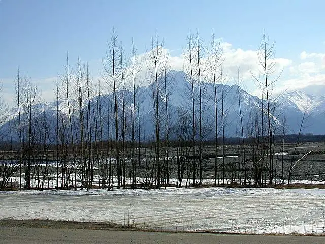 20 Things To Do In Palmer That Feel Uniquely Alaskan
