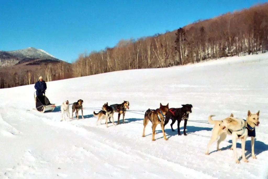 20 Things To Do In Palmer That Feel Uniquely Alaskan