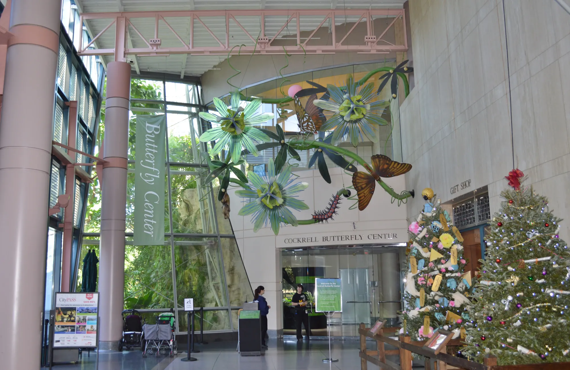 File:Entrance to the Cockrell Butterfly Center in the Houston Museum of Natural Science.JPG - Wikimedia Commons