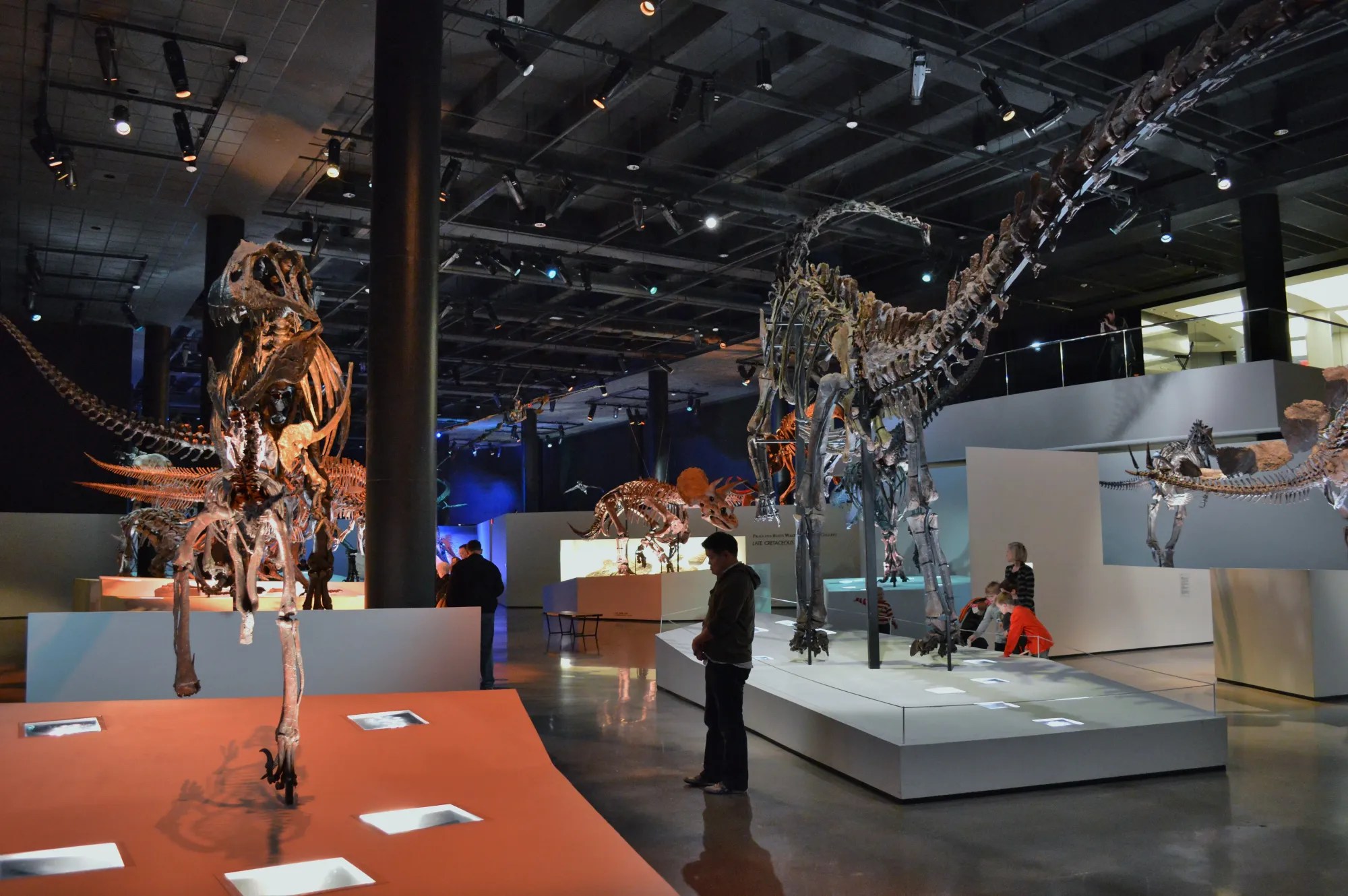 File:Morian Hall of Paleontology - Houston Museum of Natural Science 2.JPG - Wikimedia Commons