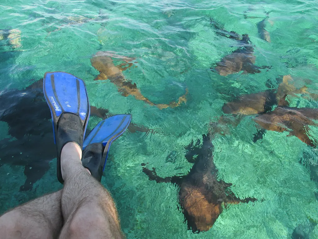 Hol Chan Marine Reserve - Belize | Alex Berger | Flickr