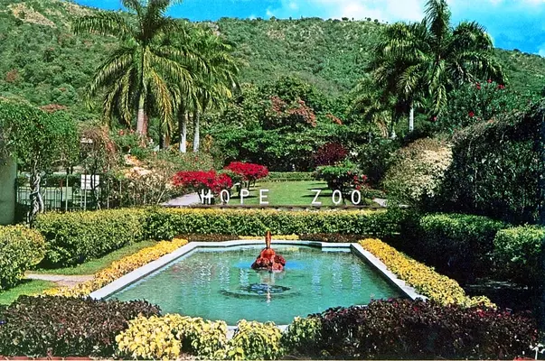 Hope Botanical Garden and Zoo Reviews | Tripexpert