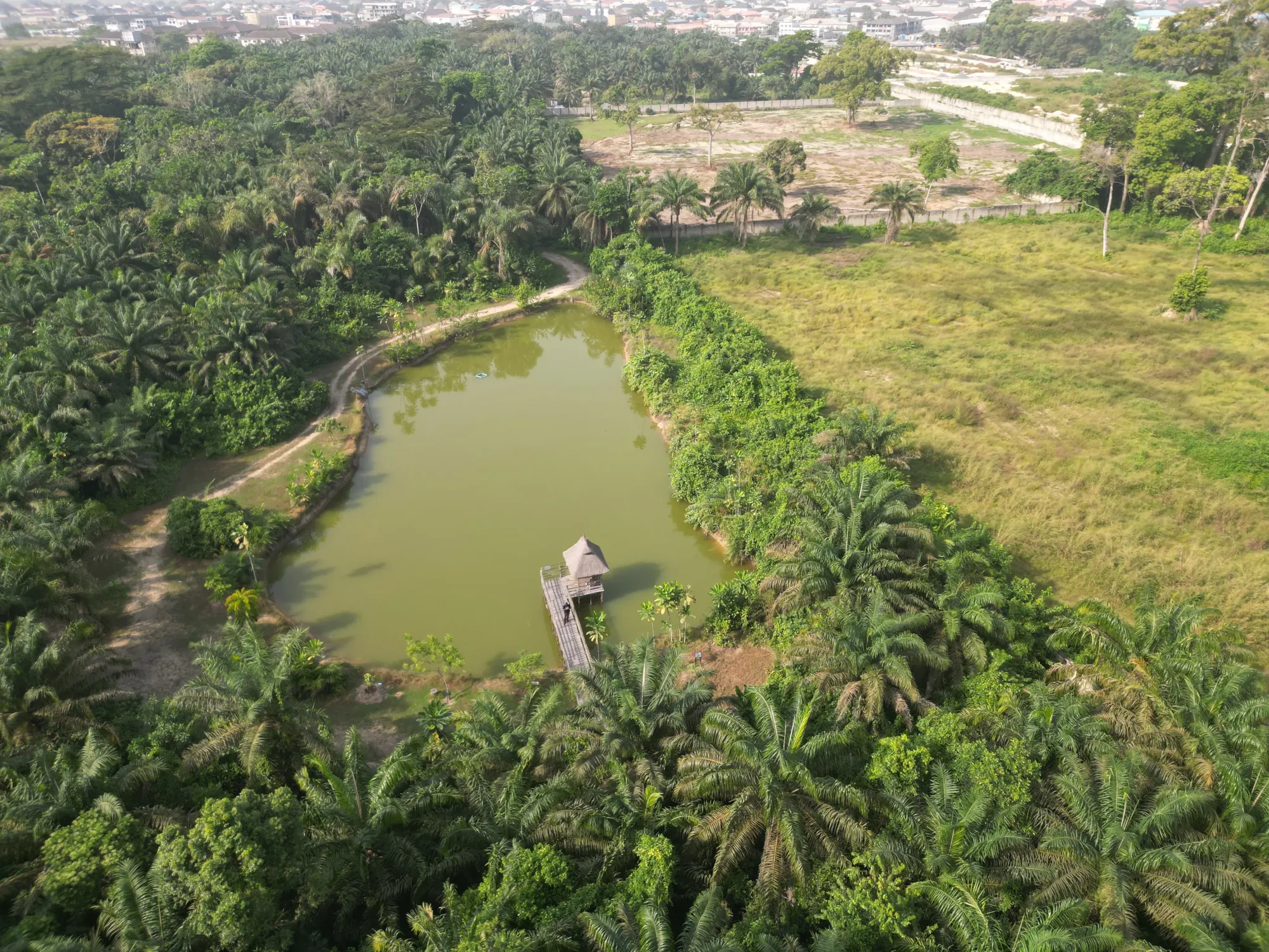 File:Aerial view of lufasi nature park lake.jpg - Wikimedia Commons