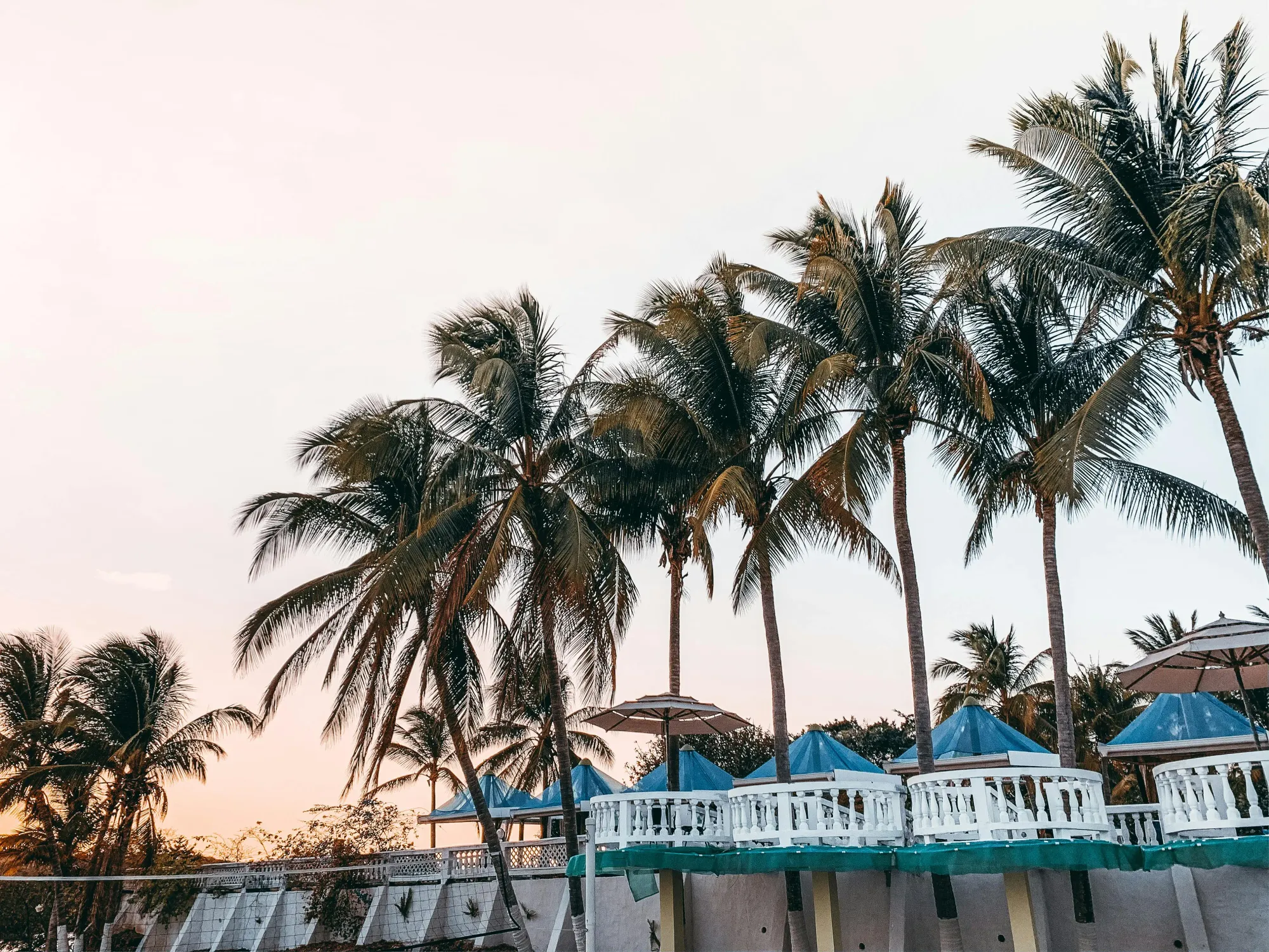 Blue umbrellas on resort terrace near exotic palms · Free Stock Photo