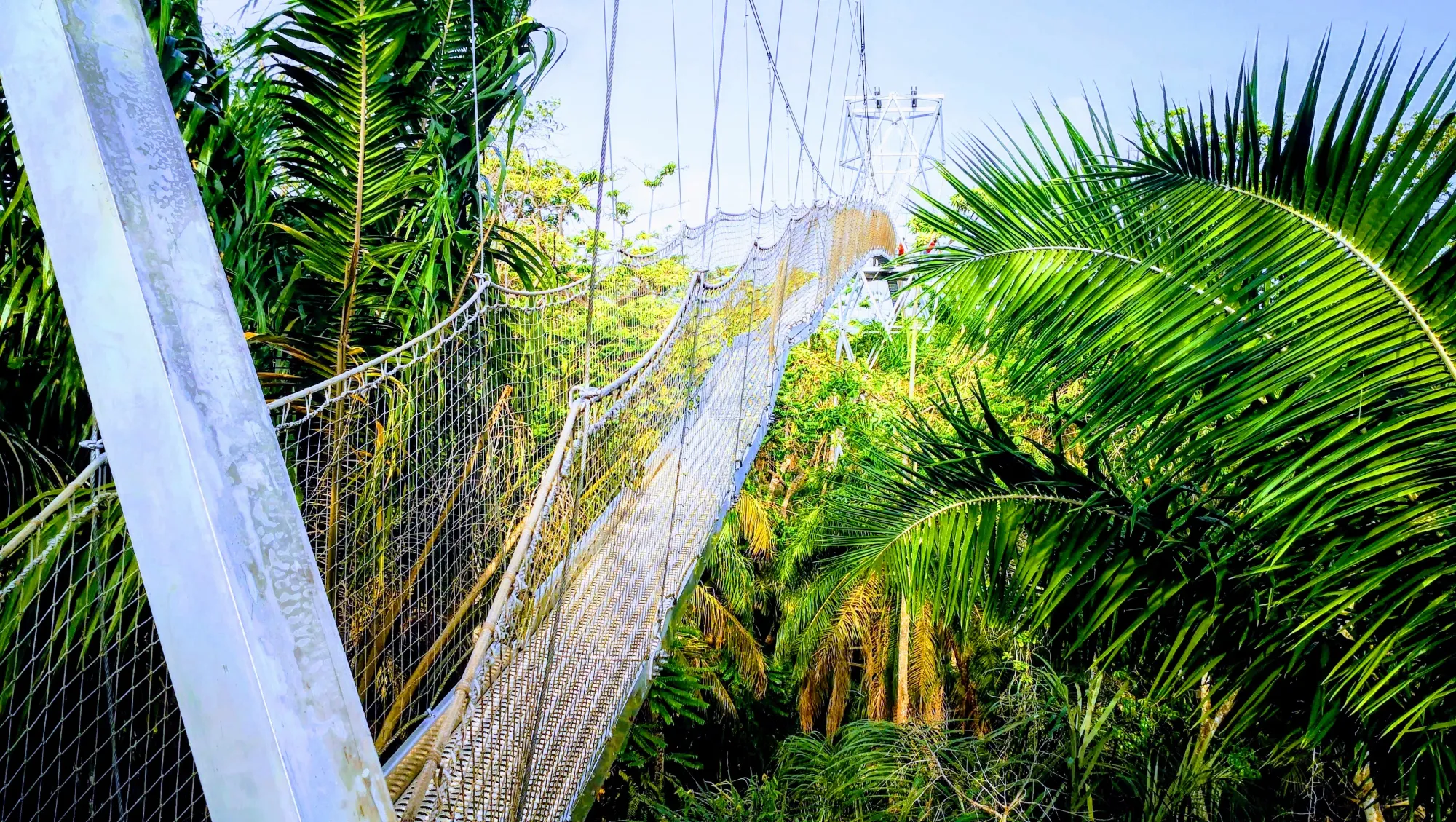 File:Canopy Walkway LCC.jpg - Wikimedia Commons