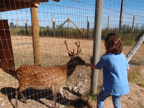 Olympic Game Farm | Flickr
