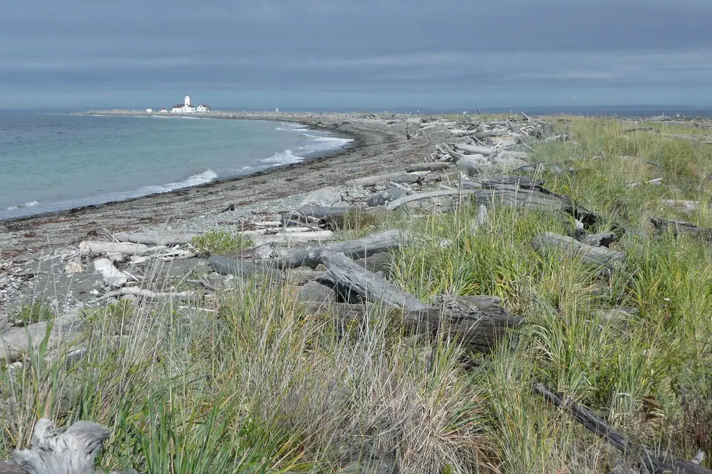 Dungeness Spit Trail | Trail leads to New Dungess Light Stat… | Flickr
