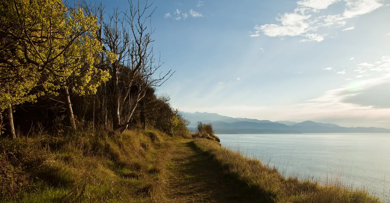 Dungeness Recreation Area | The old trail along the bluff ab… | Flickr