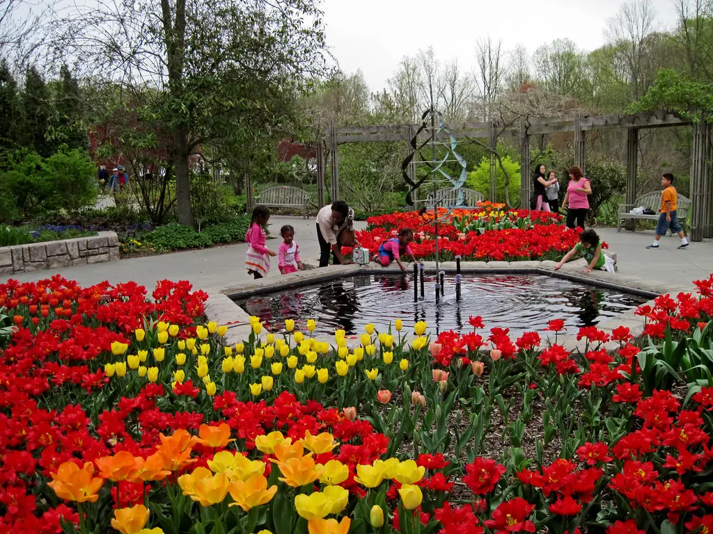 Brookside Garden | In Brookside Gardens Wheaton, MD April 20… | majunznk |  Flickr