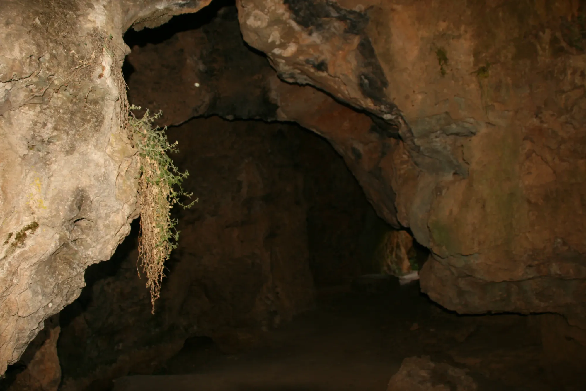 22 Things To Do In Aguadilla (Puerto Rico) That Look Straight Out of A Movie