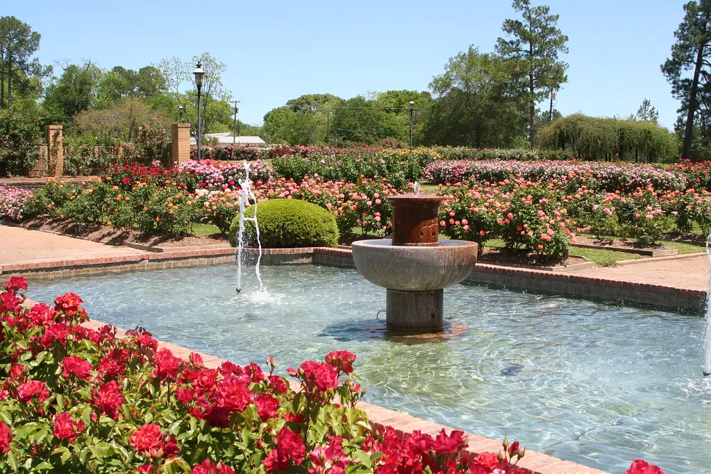 Tyler Rose Gardens | Tyler Texas | Amy the Nurse | Flickr