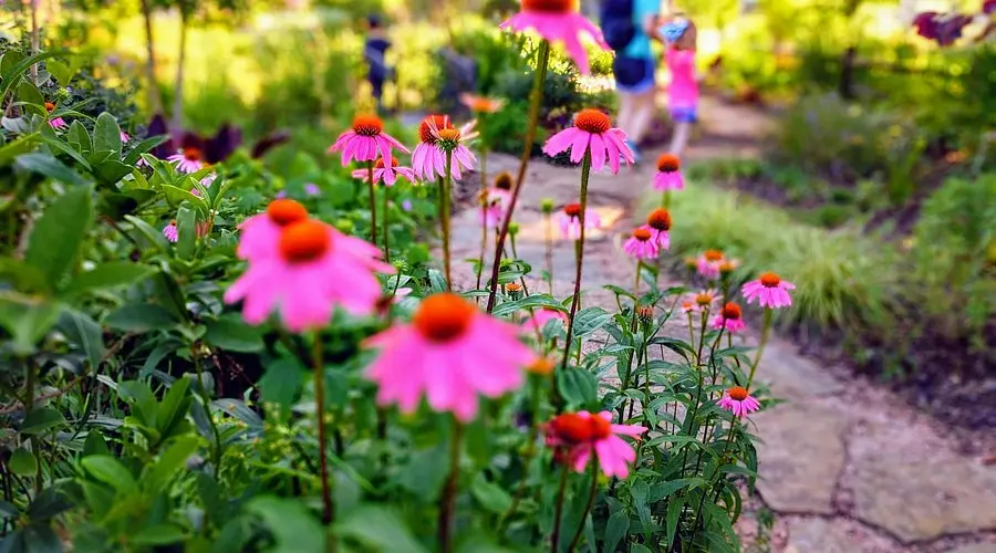 East Texas Arboretum (2025) - All You Need to Know BEFORE You Go (with  Reviews)