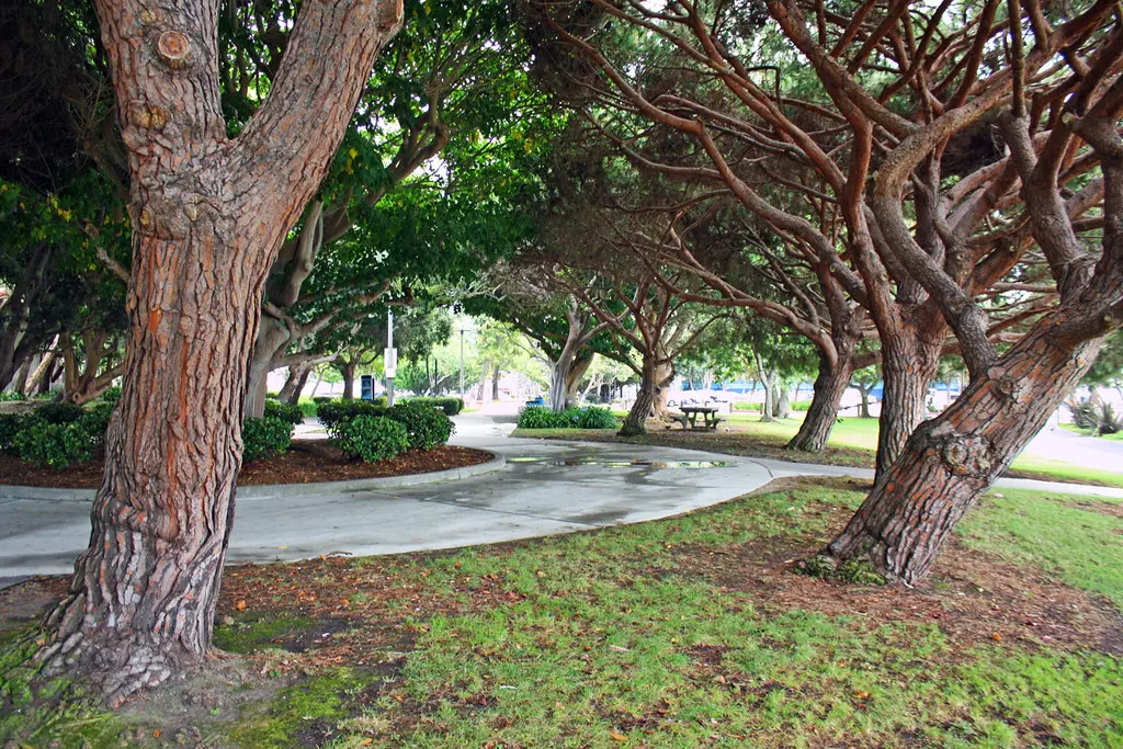 No Strings Attached | Burton Chace Park in Marina del Rey wa… | Flickr