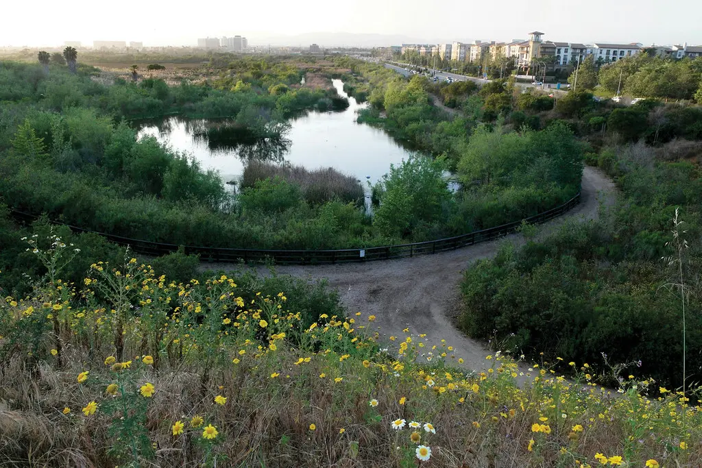 Ballona Wetlands Ecological Reserve | yushu qian | Flickr