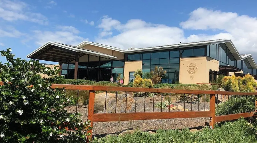 Maui Brewing Company (2025) - All You Need to Know BEFORE You Go (with Reviews)