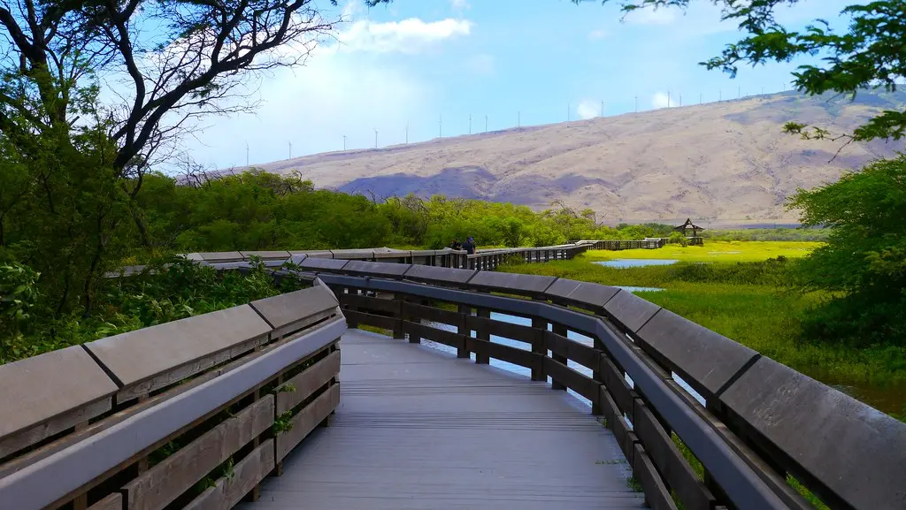 Kealia Pond National Wildlife Refuge in Maui, Hawaii | Flickr