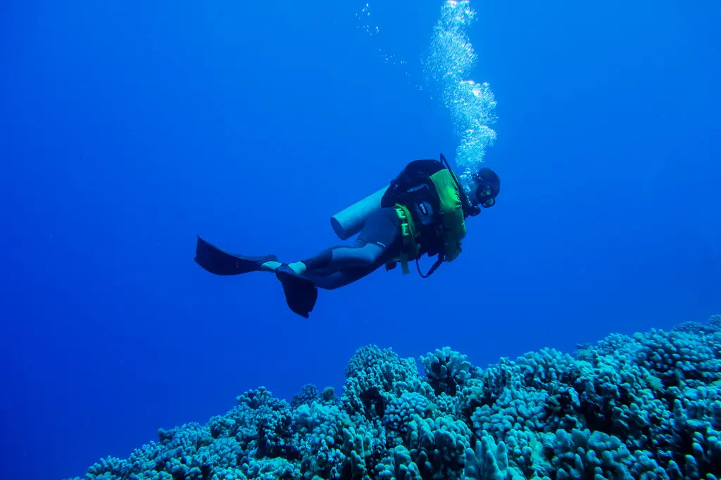 Diving in the Molokini Crater | Diving in the Molokini Crate… | Flickr