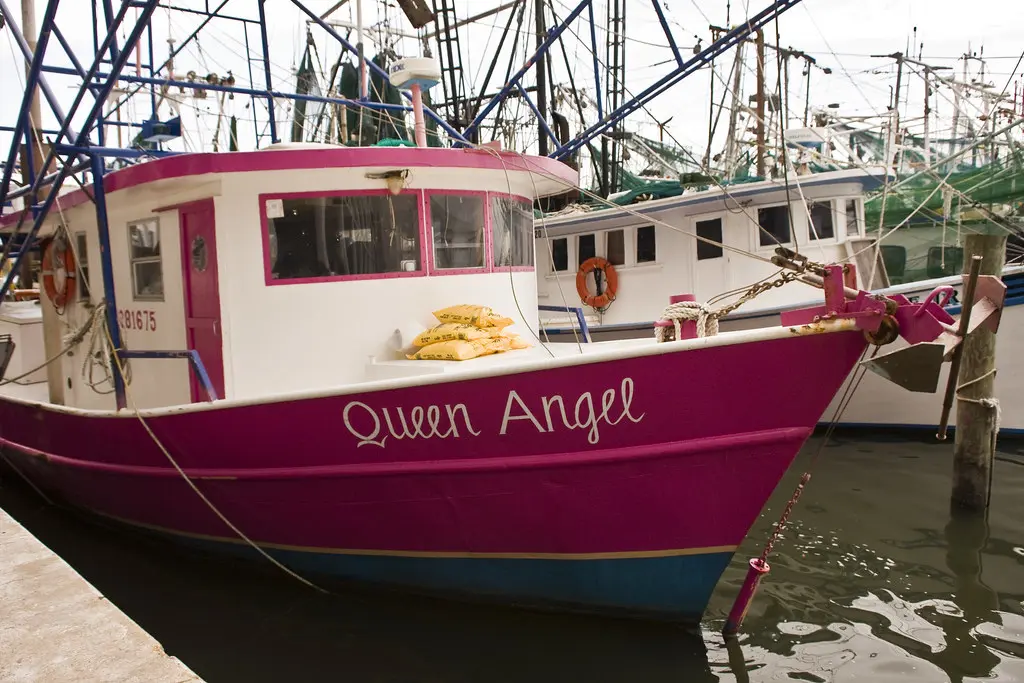 Pink boat | Couldn't help but photograph this "hot" pink shr… | Flickr