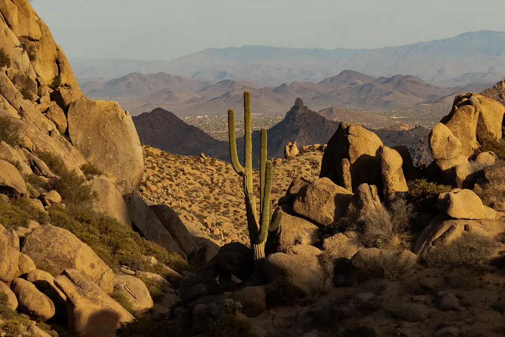 McDowell Sonoran Preserve | When we were looking for a house… | Flickr