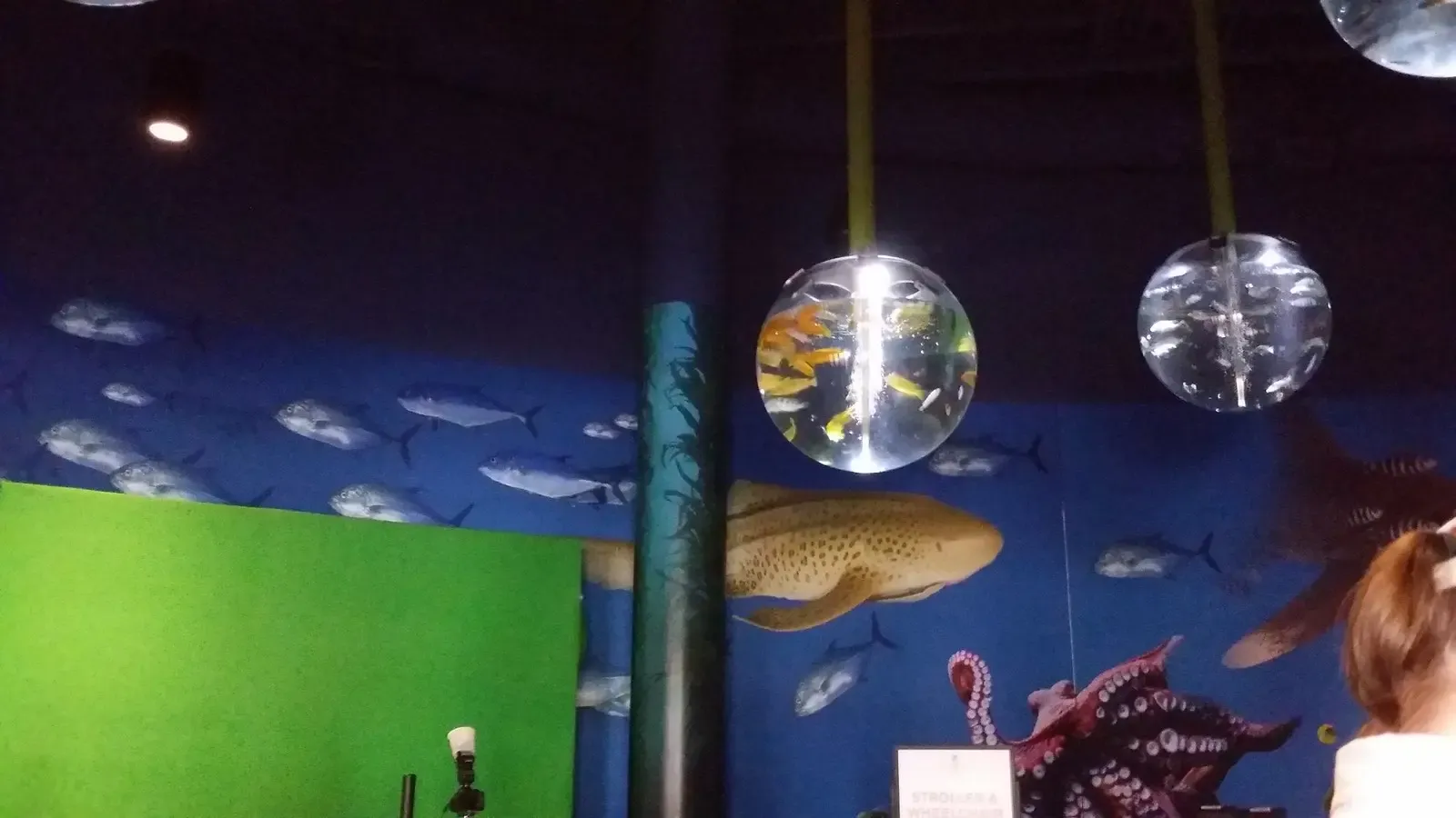 OdySea Aquarium in Scottsdale, Arizona. | Pat Jones | Flickr