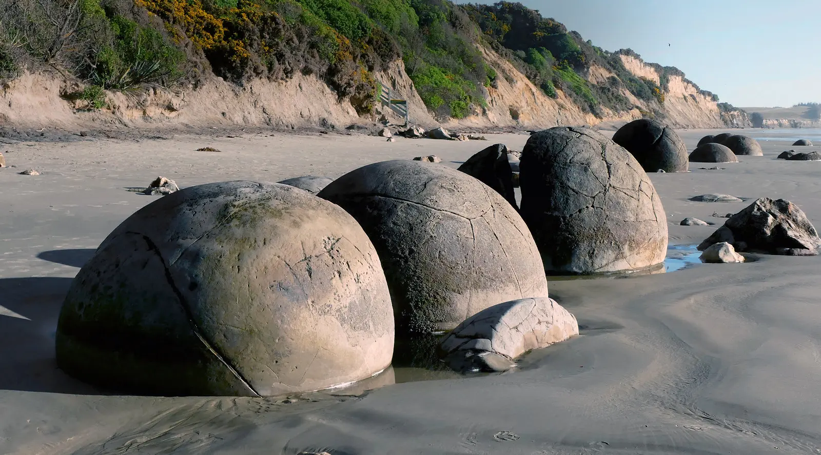 The Moeraki Boulders. | The Moeraki Boulders are unusually l… | Flickr