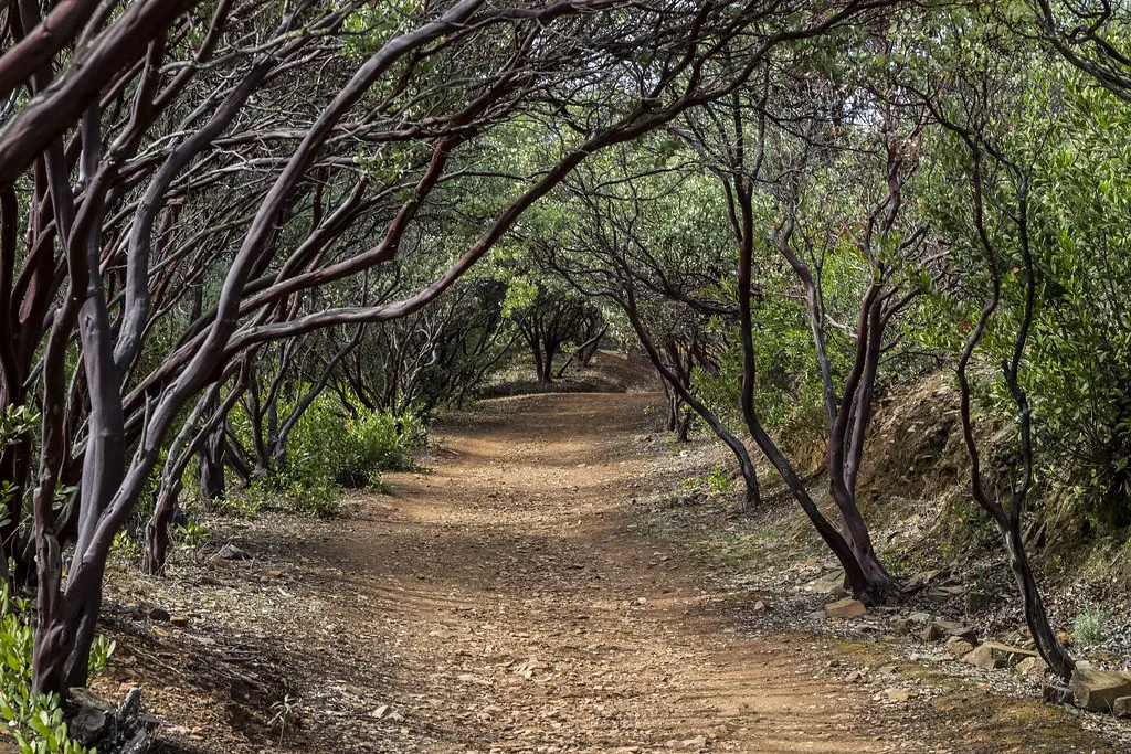 Dragoon Gulch Trail | Located in the City of Sonora, the Dra… | Flickr