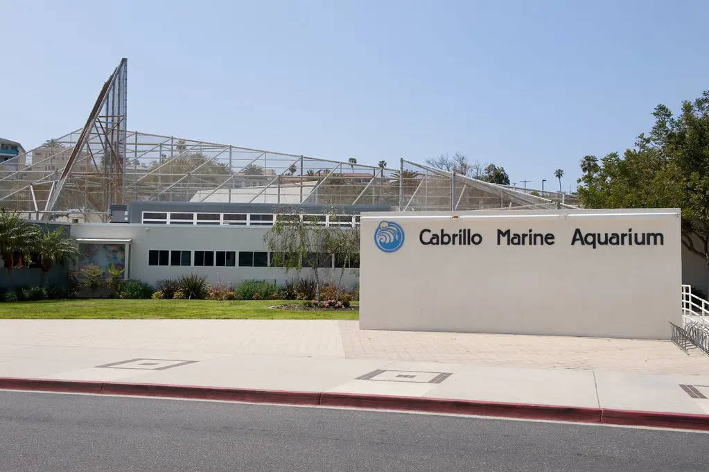 Cabrillo Marine Aquarium | The Cabrillo Marine Aquarium is l… | Flickr