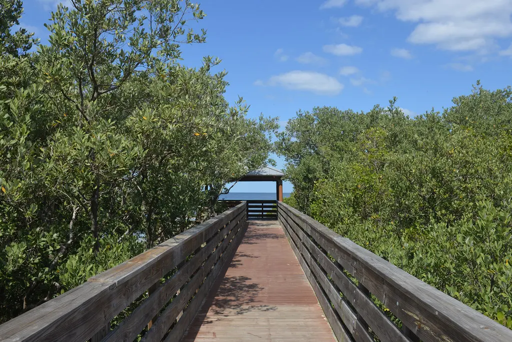 Green Key Mangroves | Robert K. Rees Memorial Park has a 650… | Flickr