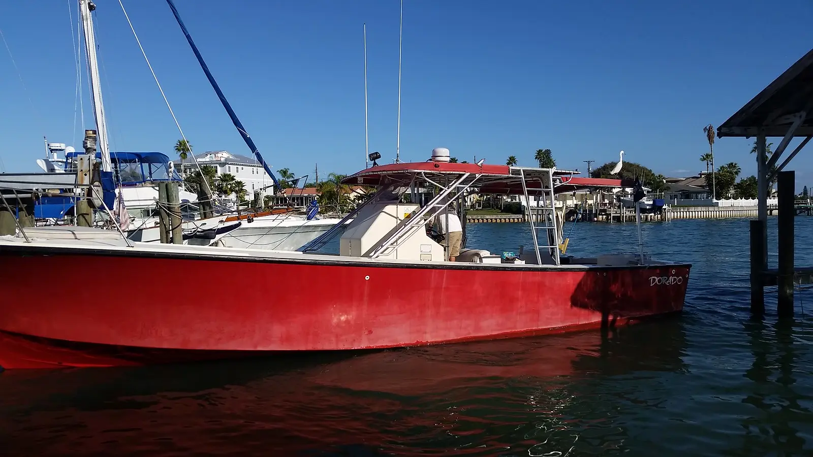 Big Red Won | Maverick Fishing Charters. Our 40 foot Dorado,… | Flickr