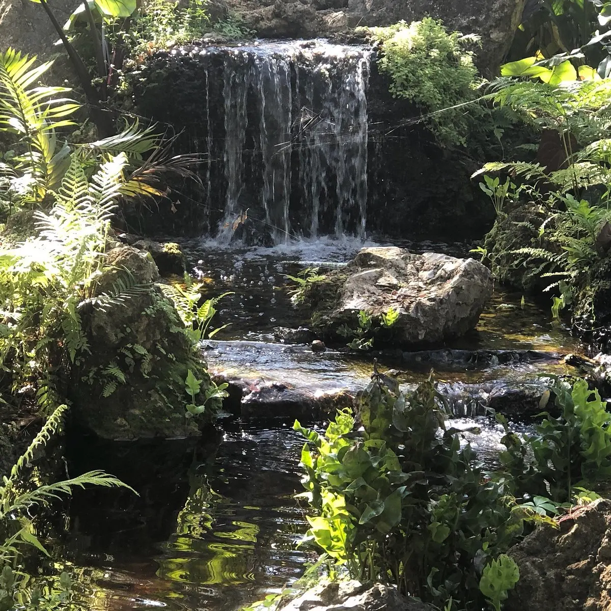 Deerfield Beach Arboretum (2025) - All You Need to Know BEFORE You Go (with Reviews & Photos)