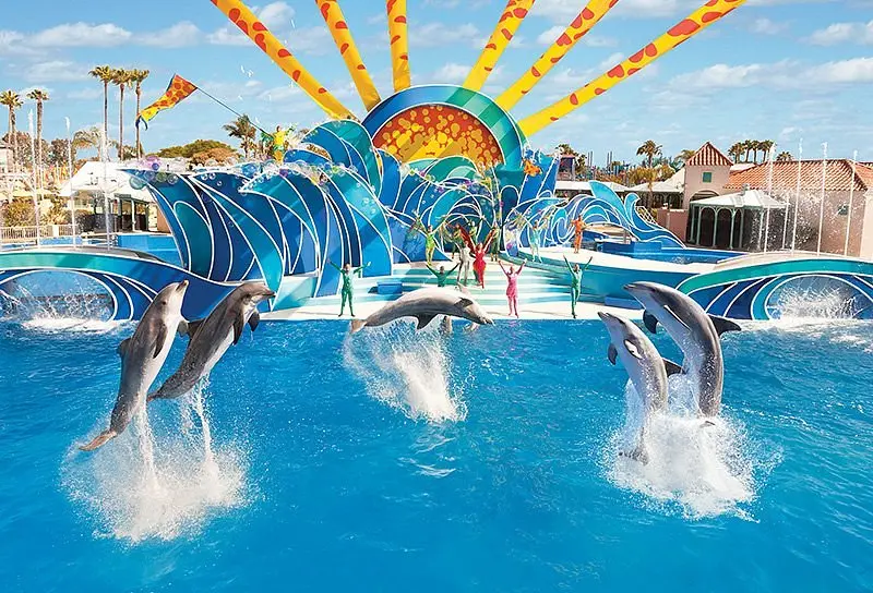 SeaWorld (2025) - All You Need to Know BEFORE You Go (with Reviews)